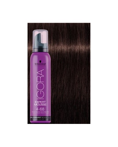 EXPERT MOUSSE IGORA 4-68 100ML