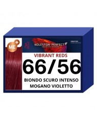 KOLESTON PERFECT ME+