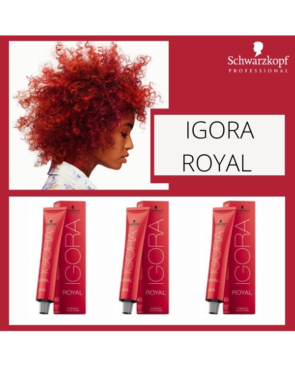 COLORE IGORA ROYAL