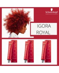 COLORE IGORA ROYAL