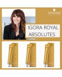 COLORE IGORA HIGHLIGHTS