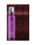 EXPERT MOUSSE IGORA 5-99 100ML
