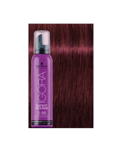 EXPERT MOUSSE IGORA 5-88 100ML