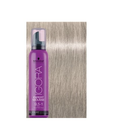 EXPERT MOUSSE IGORA 9,5-1 100ML