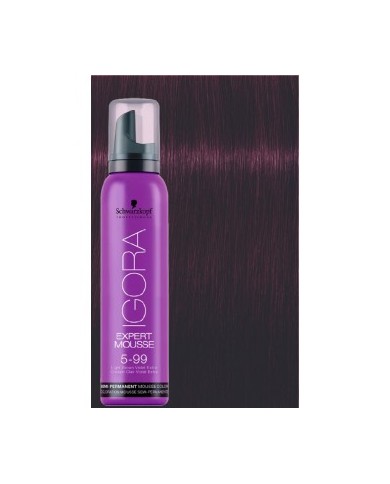 EXPERT MOUSSE IGORA 5-99 100ML