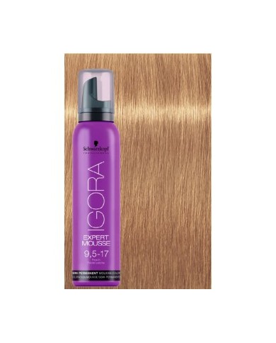EXPERT MOUSSE IGORA 9,5-17 100ML