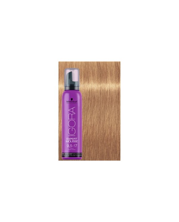 EXPERT MOUSSE IGORA 9,5-17 100ML